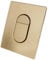 Tokenhigh Dual Flush Actuator Plate for G-R-O-H-E Skate Air, Toilet Flush Button Flushing Plate, Toilet Cistern Replacement Parts, Toilet Flush Button Front Panel for Toilet Tank (Matte Brushed Gold)