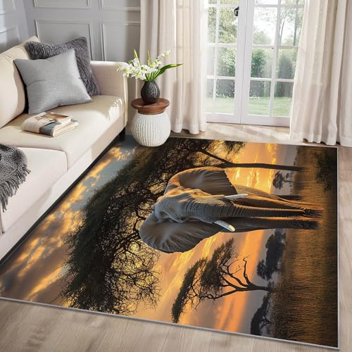 MMYAOKEN Elefant Teppich Wohnzimmer 50x80 Afrika Tiere Sonnenuntergang Deko, Kleiner Teppich Kurzflor, Weich rutschfest Waschbare Teppiche, Fußmatte Bettvorleger Schlafzimmer Kinderzimmer