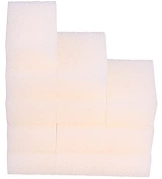 INGVIEE 12 Pièces Compatible Cartouche Filtrante pour Eheim 2615060 Pickup 45 2006 Filtre