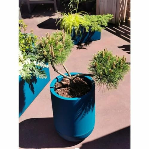 Riviera Pot Bleu Ø 50 cm