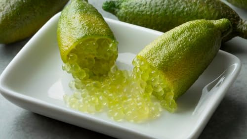 CITRUS LIMON 'FINGER LIME VERDE' AUSTRALIANO -10 SEMI FRESCHI LIMONE CAVIALE