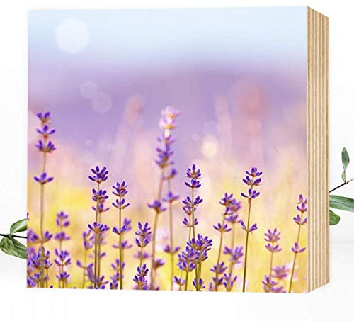 Wunderpixel® Holzbild Lavendel - 15x15x2cm zum Hinstellen/Aufhängen, echter Foto-Druck auf Holz - Wand-Bild Aufsteller zur Dekoration oder Geschenk für Büro & Zuhause - Blüten Blumen