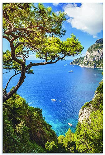 ARTland Wandbild Alu Verbundplatte für Innen & Outdoor Bild 40x60 cm Landschaftsbilder Meer Strand Küste Felsen Capri Italien U2IU