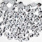 500pcs 5mm Flat Back Non-Stick Rhinestone Crystal Diamantes Nail Art & Craft Scrapbooking Embellishments 90 Available Colours (5mm, Silver #2)