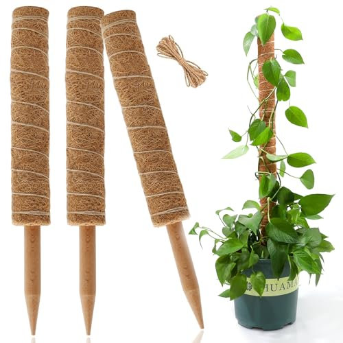 Monstera-Käsepflanzenstütze für Kletterpflanzen, für drinnen und draußen, Pflanzenstützstab für Kletterpflanzen, Kokosmoosstütze für Monstera-Topfpflanzen, 3 Stück, ausziehbare Moosstange, 40 cm