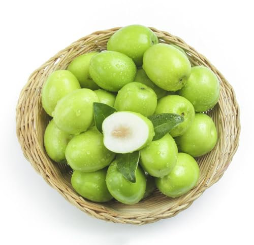 75 pcs jujube bio samen, obstsamen zimmerpflanzen wenig lichtbedarf,Ziziphus jujuba, zwergobstbäume kräutergarten geschenk obst frisch pflanztopf winterharte stauden mehrjährig obstbaum