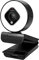 LogiLink UA0384 - Full-HD-USB-Webcam, 76°, Dual-Mikrofon, Autofokus, Ringlicht, Stativ, Schwarz