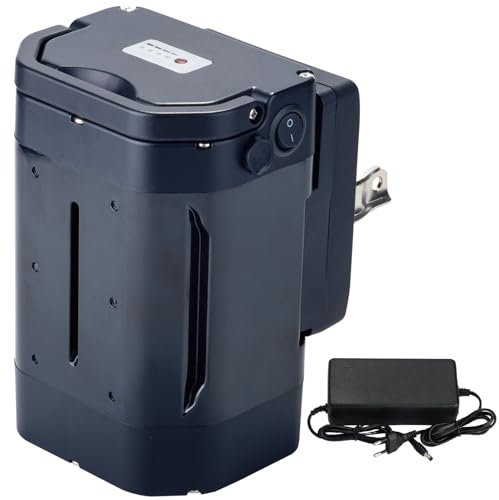 Batteria e-bike 36V 12Ah di ricambio per Ansmann, Heinzmann, PortaHK per 200W 250W 350W 500W motore bici con caricabatterie, Safe Lock (36V 12Ah)