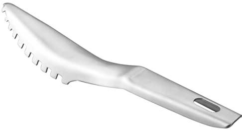 Acciaio inossidabile SQUAMAPESCE INOX PESCE entschupper FISC hschupper Pesce raschietto