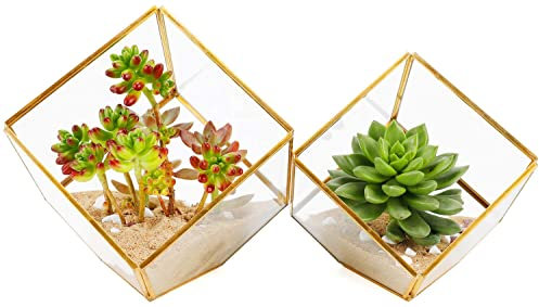 ELEGANTLIFE Geometrisches Pflanzgefäß aus Glas, für Sukkulenten und Luftpflanzen, für Zuhause, Garten, Büro, Dekoration (goldfarben, kubisch, 2 Stück)