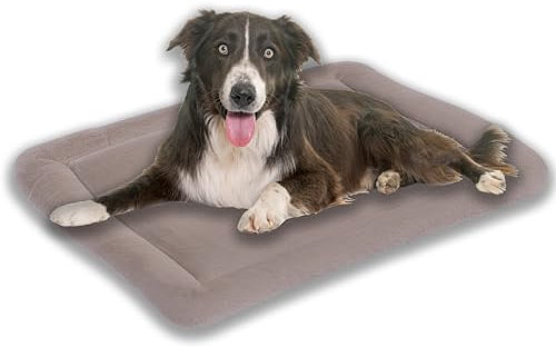 MyBestBuddy Hundekissen Komfort Hellbraun/beige 80x60 cm L, allergikerfreundlich (100% Polyester), rutschfest - 40°C waschbar mit flauschigem Bezug - Hundematte BZW. Hundebett für mittelgroße Hunde