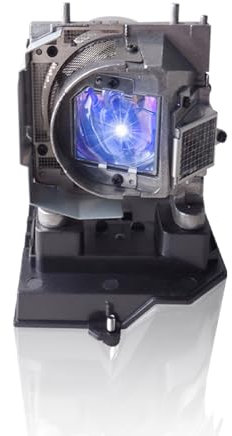 Poxtedsr NP19LP projektor Ersatzlampe Kompatibel mit NEC NP-U250X NP-U250XG NP-U260W NP-U260WG for PTOMA TX565UT-3D TX565UTi-3D Ersatzlampe mit Gehäuse