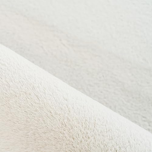 KADIMA DESIGN Kurzflorteppich Einfarbig Uni Pflegeleicht Waschbar Strapazierfähig Rund Creme 200x200 cm Wohnzimmer Schlafzimmer Fußbodenheizung geeignet Schadstoffgeprüft Flur Oeko-TEX | NECKAR