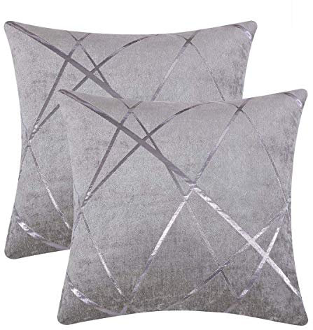 GIGIZAZA Silbergrau Kissenbezug Samt Kissenhülle 50x50cm Deko Kissenbezüge Dekokissen Fall für Sofa Wohnzimmer Schlafzimmer 2er Set