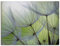 ARTLAND Wanddeko Leinwand Bilder Wandbild Pusteblumen Natur Botanik Blumen Modern Kunst Abstrakt T5PP