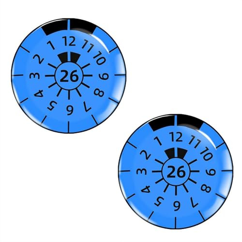 ZYHARUKO 2 Stück Gel-Kennzeichen-Inspektionsaufkleber, stark, wasserdicht, Auto-Dekor, langlebig, Auto-Inspektionsetikett, farbecht, Nummernschildaufkleber