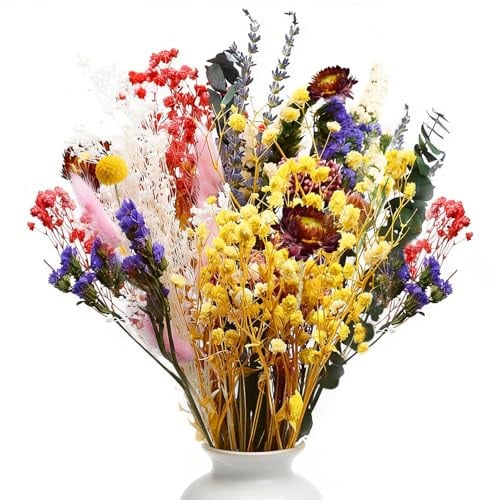 Yiomxhi 32 Pezzi Bouquet Fiori Secchi Decorativi Naturale, Erba Essiccati Eucalipto Lavanda Gipsofila Pianta per Rustico Boho Tavola Casa Matrimoni Decorazioni