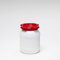 Curtec 6 Litre Waterproof Airtight Storage Keg Drum Barrel - HDPE Food Grade Material - Red Lid / White Base