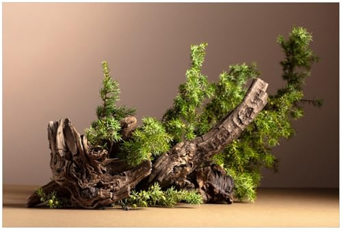 Wallario Küchenrückwand selbstklebend 90 x 60 cm, Motiv: Komposition aus Holz und Grün | Spritzschutz abwischbar & pflegeleicht