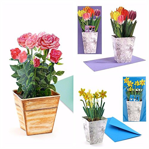 3 Pop-Up-Karten BLUMEN: 3 D-Faltkarten mit bunten Tulpen, Rosen und gelben Narzisssen/Osterglocken im Topf - für Frühlingsgrüße und den Valentinstag