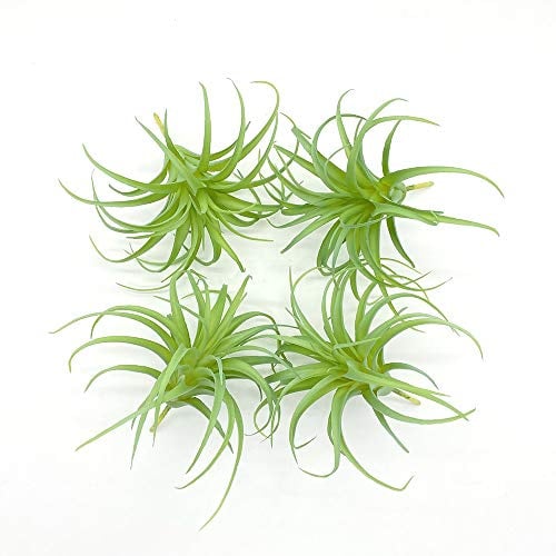 UMATRU ZKTECH Künstliche Luftpflanzen, Tillandsien, Luftpflanzen, Bromelien für Garten, Heimdekoration, Terrarium, künstliche Sukkulenten, Pflanzen, Arrangement, 4 Stück