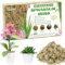 Halatool 170g Premium Sphagnum Moos für Pflanzen & Orchideen - Organisches Torfmoos Langfaserig，Blumenerde für Zimmerpflanzen und Terrarien，Natürliche Feuchtigkeitsspeichernde Pflanzenerde