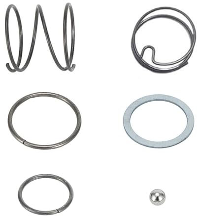 Raheem 6pc Power Tool Spring and Ball Bearing Kit for Dewalt Impact Driver Kit DCF885 DCF886 DCF887 DCF888 - N016823 N019351 N053863 N078434 N089668 Fit for Impact Driver Dewalt DC850