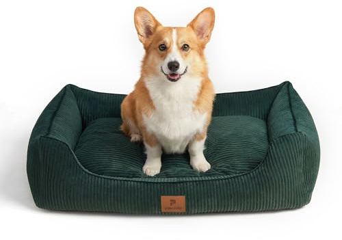 Peluvio Hirado Hundebett mit Hohem Rand Hundesofa rutschfest Waschbar | Abnehmbarer Bezug mit Reißverschluss Weiche Seiten für Geborgenheit Cord-Struktur Hundekissen Für Kleine Mittelgroße Große Hu