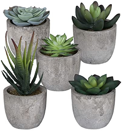 Set di 5 piante grasse finte per camera da letto, piccole piante finte estetiche per bagno, mini piante finte decorative per scrivania da ufficio, piccole piante grasse finte realistiche, set di