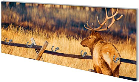 Wallario Wandgarderobe aus Glas in Größe 80 x 30 cm mit Memoboard-Funktion, Motiv: Elch im Schnee - im Hochland von Colorado | 5 Kleiderhaken zum Aufhängen von Jacken