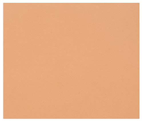 Clairefontaine 960489C Ries mit 100 Blatt Zeichenpapier Tulipe, 160g, DIN A4, säurefrei, 100% Zellulose, 1 Ries, rost