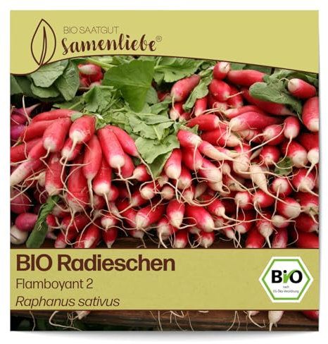 Samenliebe BIO Radieschen Samen Gemüsesamen alte Sorte Flamboyant 2 150 Samen Gemüse Samen Garten Radieschen Saatgut samenfeste einjährig Pflanzen für Gewächshaus, Garten und Balkon