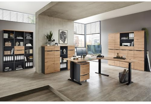 Lomadox Büromöbel Set 11-teilig, höhenverstellbarer Schreibtisch, 6 Aktenschränke 197cm hoch, 3 Büroschränke 122cm hoch, 1 Rollcontainer in Graphit und Eiche