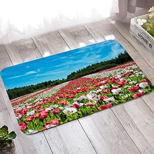 Teppich Wohnzimmer, Fußmatte Außen 50X160cm Weiße Rose Rot Grün Blumen und Baum für Badezimmer Küche