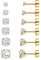 Thokono 6 Paar Ohrringe Ohrstecker Set Edelstahl Hypoallergene Sparkling CZ Diamant Ohrstecker Zirkonia Ohrstecker Ohrring Stecker für Damen Herren Mädchen Männer Golden 3mm-8mm