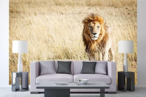 Vlies Fototapete STEHENDER LÖWE 375 x 250 cm (inkl. Kleister) - Vlies Tapete, Wandtapete, Wandbilder - Tapete für Wohnzimmer Schlafzimmer, Büro, Küche - Montagefertig
