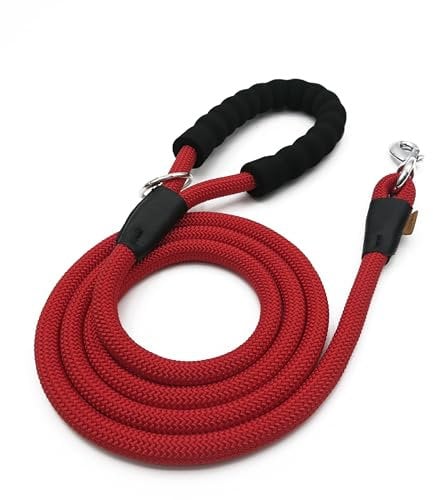Aiminto Dog Leash, Braided Rope Traction – Walking Training Lead for Medium/Large Dogs ((1/2) - 6FT, Red)