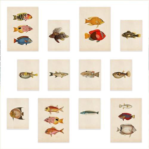 Nacnic Vintage Fisch 2 - Set mit 12 Drucken: 4 A3 & 8 A4, Mix-Stil, ohne Rahmen - Fesselndes Design, atemberaubende Sammlung von Vintage-Fischkunst! Wandkunst Drucke Poster Wanddekoration