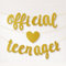Koliphy Offiziell Teenager Deko, Official Teenager Girlande für 13. Geburtstag Dekoration Banner, 13 Geburtstag Partyzubehör für Jungen Mädchen(Gold)