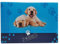 alles-meine.de GmbH Schreibtischunterlage Hund Welpen - 60 cm * 40 cm - PVC Unterlage/Knetunterlage/Schreibunterlage/Tischunterlage - Welpe Golden Retriever Hunde für Junge..