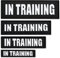 Bluyellow 4 Stück im Trainingshunde-Patch-Set, bestickte Hundepflaster für Diensthund in Trainingsweste, taktisches Hundegeschirr, Klettverschluss-Hundeflicken, Schwarz und Weiß, klein und groß