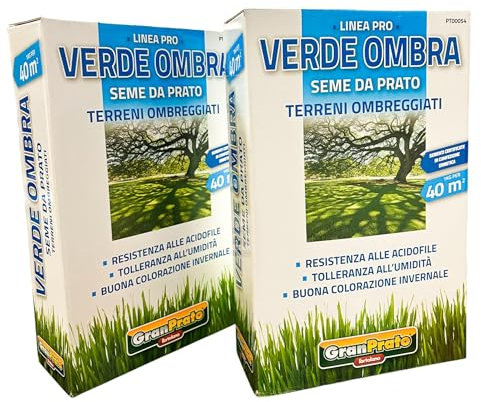 L'ORTOLANO GRANPRATO-OFFERTA-2 CONFEZIONI da 1 kg (1 kg per 40 mq) di Seme da Prato VERDE OMBRA (per Terreni Ombreggiati). Resistenza alle acidofile, buona colorazione invernale. Sementi Certificate.