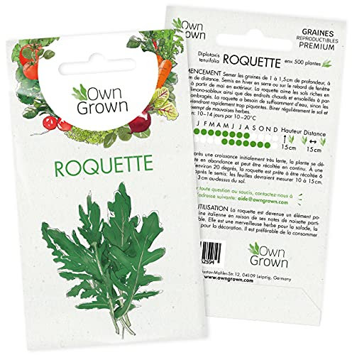 Graines de roquette (Diplotaxis tenuifolia), graines de roquettes à cultiver OwnGrown, graines pour environ 500 plants de roquette