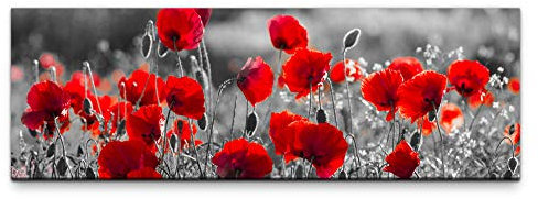Eau Zone Leinwandbild auf Echtholzrahmen Rote Mohnblumen im Feld 150x50cm
