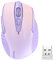 TECKNET Souris sans Fil, 2.4G Souris Optique 4000 DPI avec 6 Niveaux Réglable, Souris Ergonomique pour PC, Ordinateur Bureau/Portable - Couleur Mixte