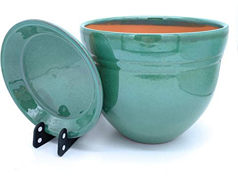 Sun Cakes Galla Pot de fleurs en céramique émaillée avec soucoupe, pour plantes succulentes, orchidées, Céramique, Vert, 14cm x 12cm