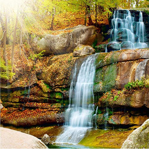 Photo Papier Peint Automne bois cascade 3D Intissé Décoration Murale XXL Poster Trompe l oeil Tableaux Muraux pour Salon Chambre Toile de Fond Mur 350x256cm