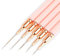 WLLHYF Nail Art Liner Brushes, 5Pcs Gel Polish Painting Nail Dotting Drawing Long Lines Tool Art Design Pen Set Metal Handle Nail Art Design Brushes for Women