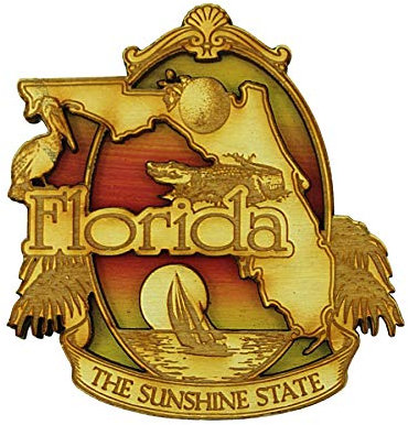 Souvenir Magnets, Florida Magnet, The Sunshine State, Carved Wood, for Fridge, Whiteboard, Made in The USA, 3.25 Inches