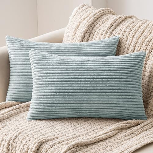 MIULEE 2er Set Kissenbezüge Kord Kissenhülle Dekorative Kissenbezug Sofakissen Couchkissen Dekokissen Zierkissenbezug Deko Kissenhülle mit Verstecktem Reißverschluss 30x50 cm Blauweiß
